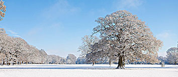 利物浦锋线偶发失常，频频错失进球良机