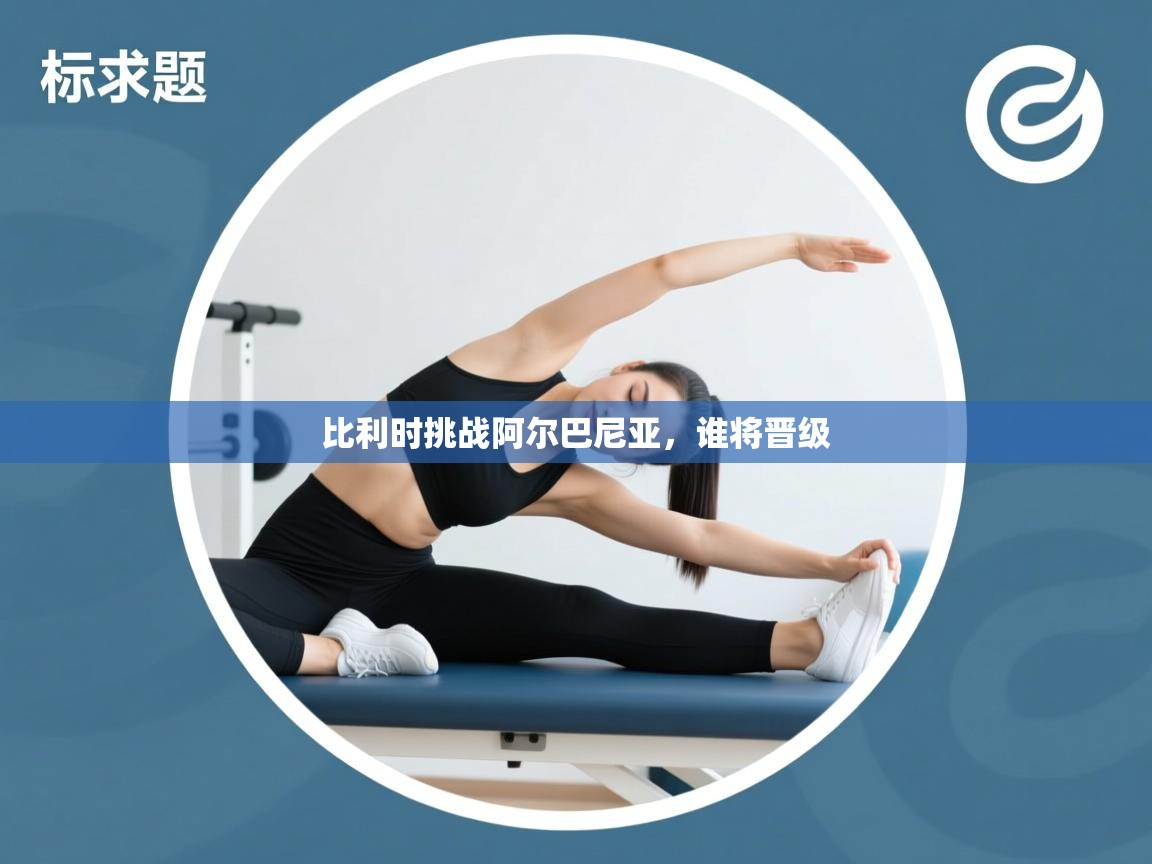 比利时挑战阿尔巴尼亚,谁将晋级 第2张