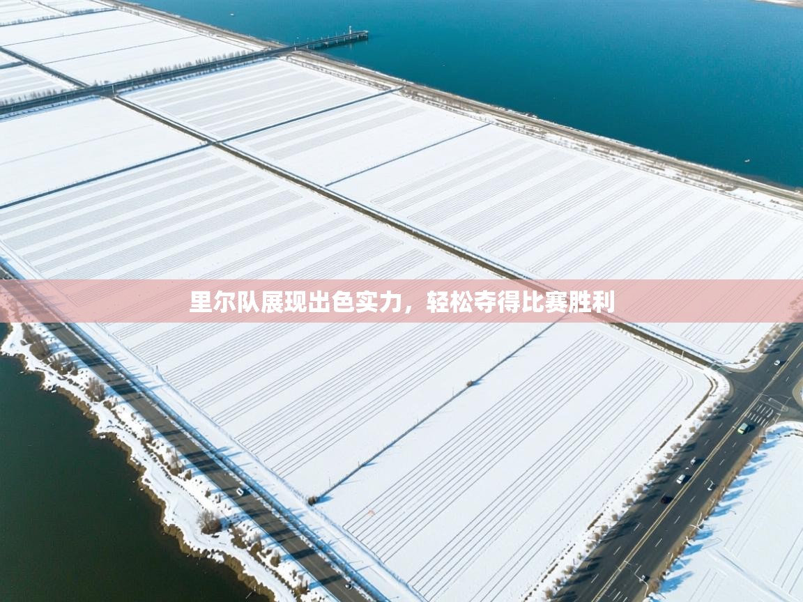 里尔队展现出色实力,轻松夺得比赛胜利 第2张