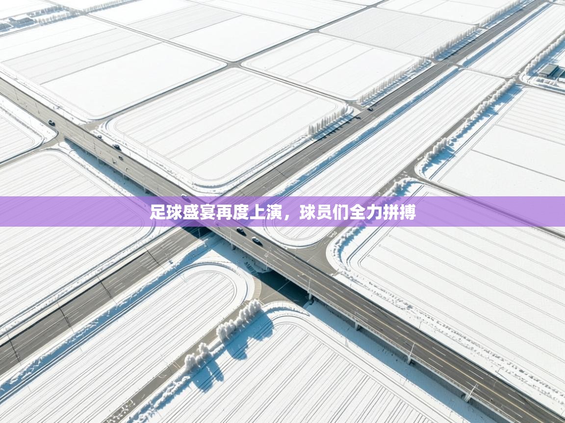 足球盛宴再度上演，球员们全力拼搏