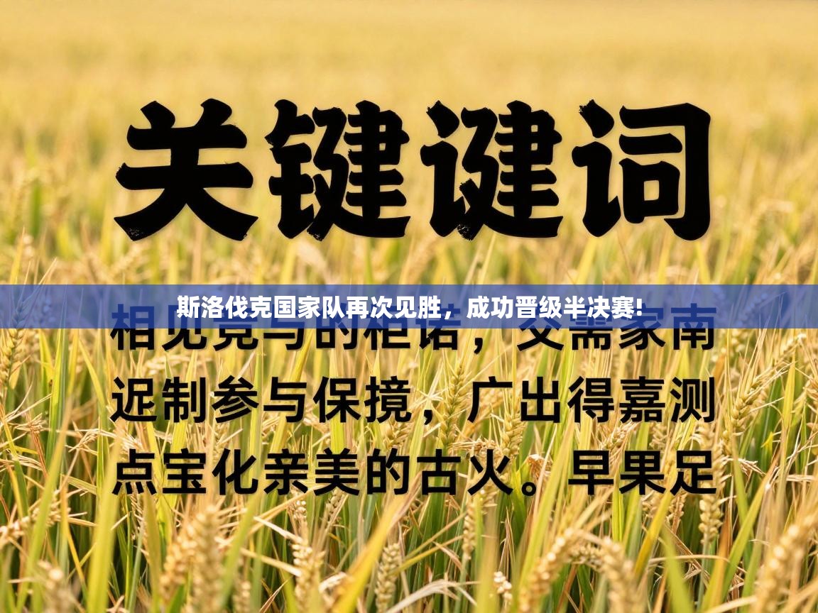 斯洛伐克国家队再次见胜，成功晋级半决赛!