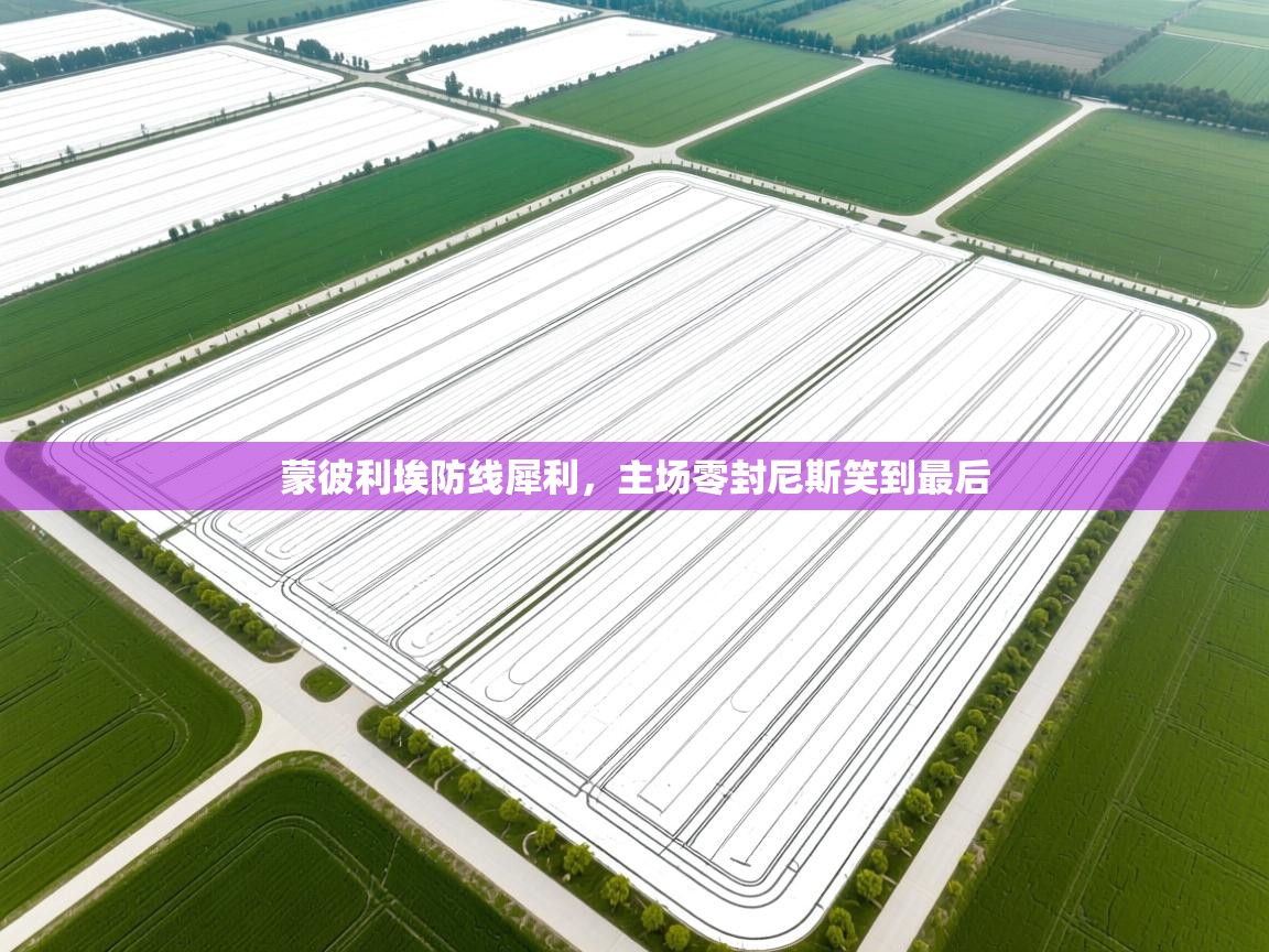 蒙彼利埃防线犀利，主场零封尼斯笑到最后  第2张