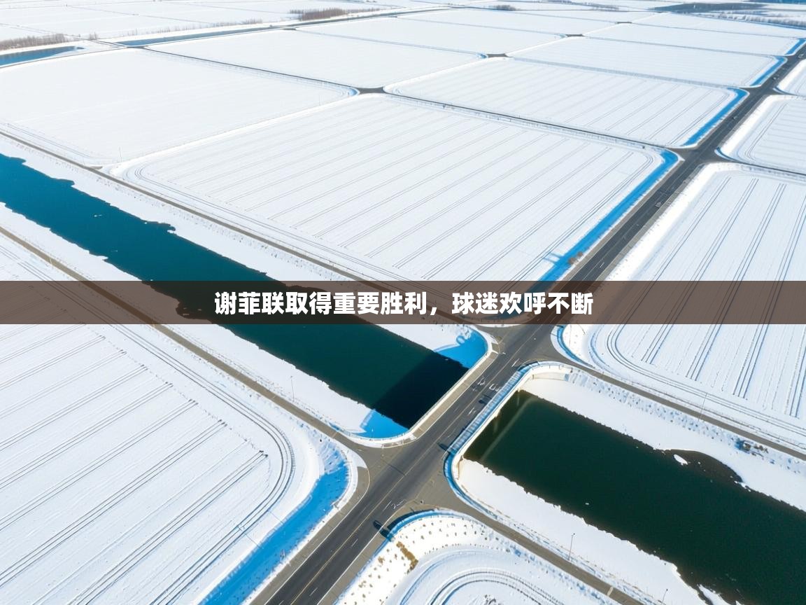 谢菲联取得重要胜利，球迷欢呼不断