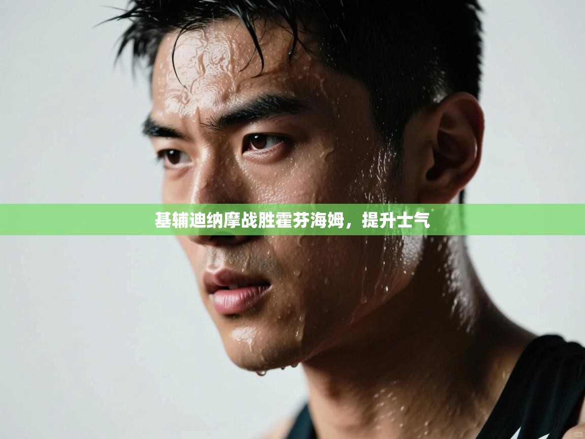 基辅迪纳摩战胜霍芬海姆,提升士气 第1张