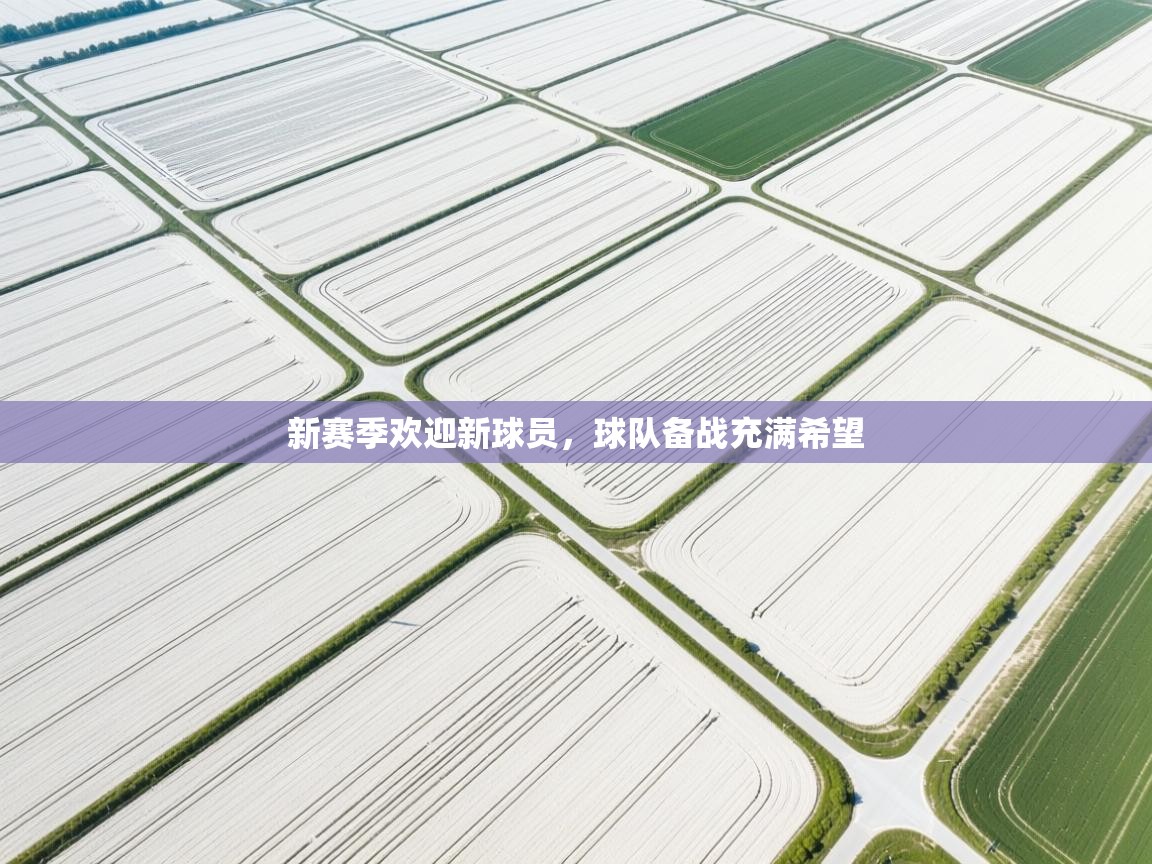 新赛季欢迎新球员，球队备战充满希望
