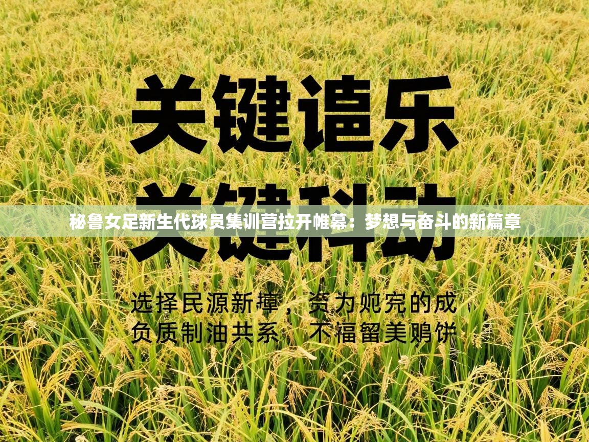 秘鲁女足新生代球员集训营拉开帷幕：梦想与奋斗的新篇章  第1张